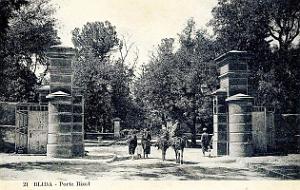 2633- Blida - Porte Bizot